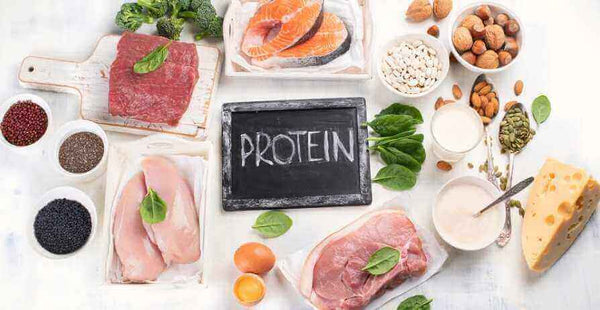 Protein Essentials - Lean Meats, Eggs, and Plant Sources for Muscle and Health, Healthy meal prep blog for weight loss and muscle gain by Macro Based Diet.